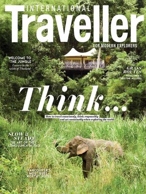 cover image of International Traveller